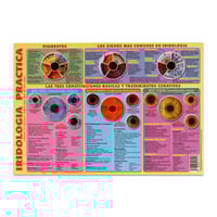 Lámina de iridología práctica (Medidas: 30 x 21 cm)